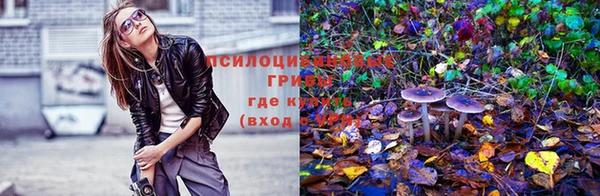 метадон Алексин