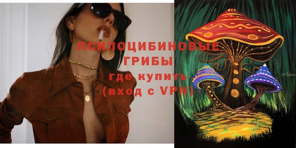 метадон Алексин