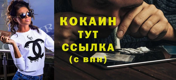 соль ск Алзамай