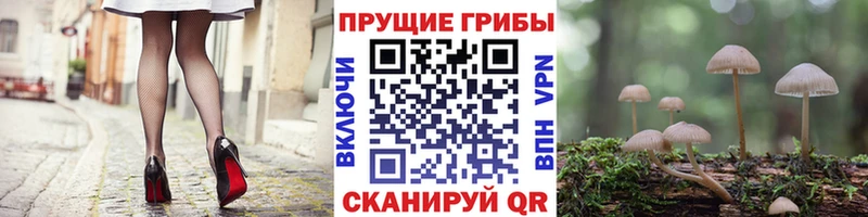 МЕГА ссылка  Невьянск  Псилоцибиновые грибы мухоморы 